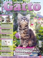 Gatto Magazine